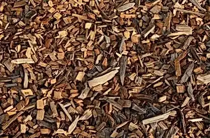 MARTIN сайт 09d0a7